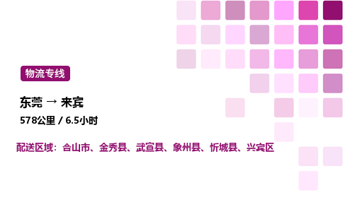 东莞到来宾兴宾区